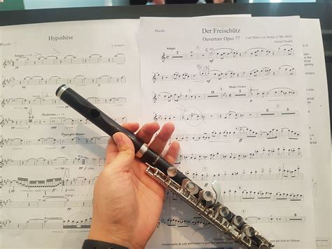 how to read flute sheet music: exploring the world of musical notation